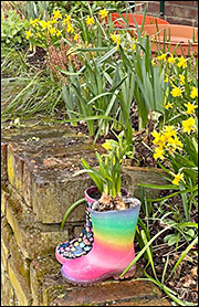Wellies project