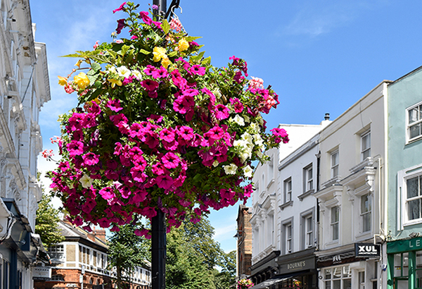 Belsize Village flower basket