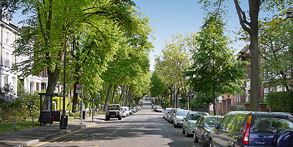 Belsize Walk