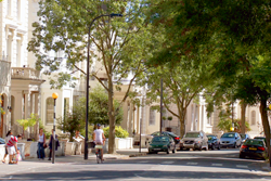 Buckland Crescent