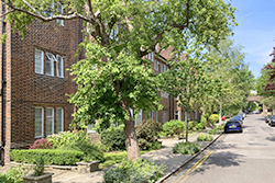 Tudor Close